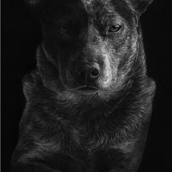 Meet your Posher, Jennifer - Picture 16 of 16